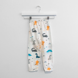 Boys Long Sleeve Pajamas Top & Pants Set Dinosaurs