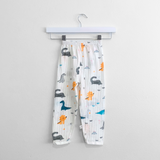 Boys Long Sleeve Pajamas Top & Pants Set Dinosaurs