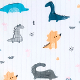 Boys Long Sleeve Pajamas Top & Pants Set Dinosaurs