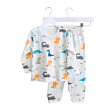 Boys Long Sleeve Pajamas Top & Pants Set Dinosaurs