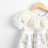 Girls Embroidered Lace Bib Collar Floral Roses Dress Pink & Cream