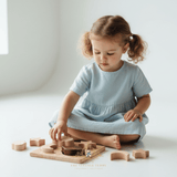 Wood Blocks Celestial Shapes Children's Montessori Pre-School Learning Toys