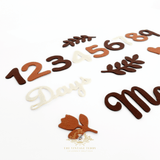 Baby Birthday Milestone Photo Props Felt Numbers Days Months Cut-out Shapes Boho Autumn