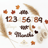 Baby Birthday Milestone Photo Props Felt Numbers Days Months Cut-out Shapes Boho Autumn