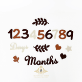 Baby Birthday Milestone Photo Props Felt Numbers Days Months Cut-out Shapes Boho Autumn