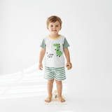 Toddler model wearing dinosaurs t-shirt and shorts boys matching set, cute kids clothes for summer