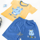Boys T-Shirt & Shorts 2-Piece Matching Set Dino Land