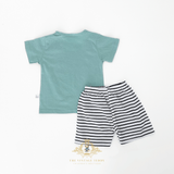 Boys T-Shirt & Shorts 2-Piece Matching Set Zebra